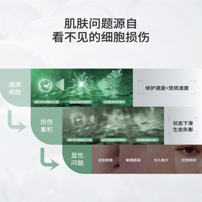敏感肌深层成因是神经-免疫失衡