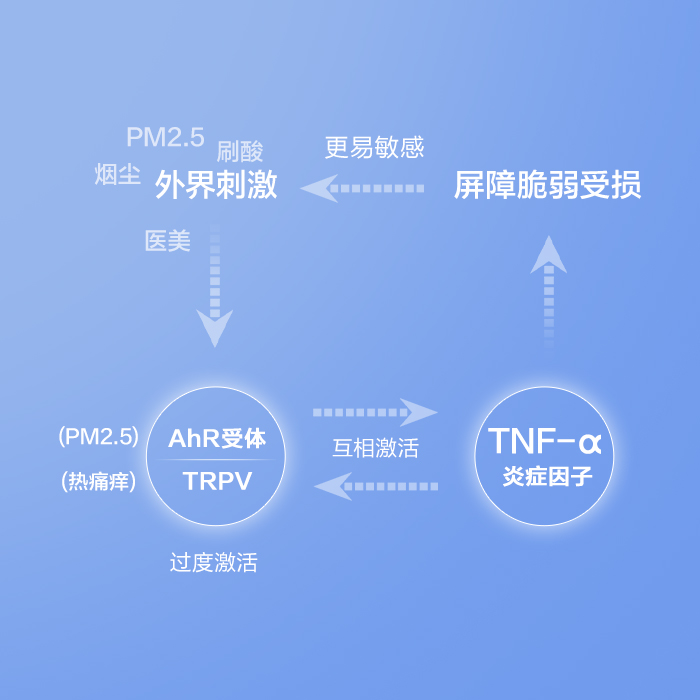 皮肤反复敏感的根本原因
来自神经免疫的互相激活