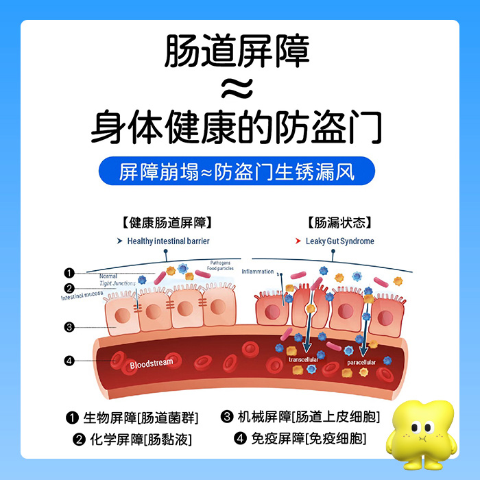  肥胖问题深层成因是肠道屏障受损肠 -X轴代谢失衡
                           