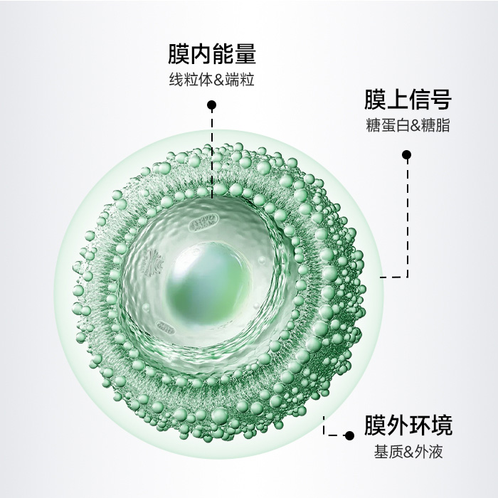  为什么你的“口服抗衰”看不到结果？